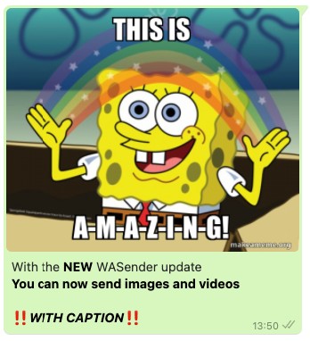 With the NEW WASender update You can now send images and videos WITH CAPTION